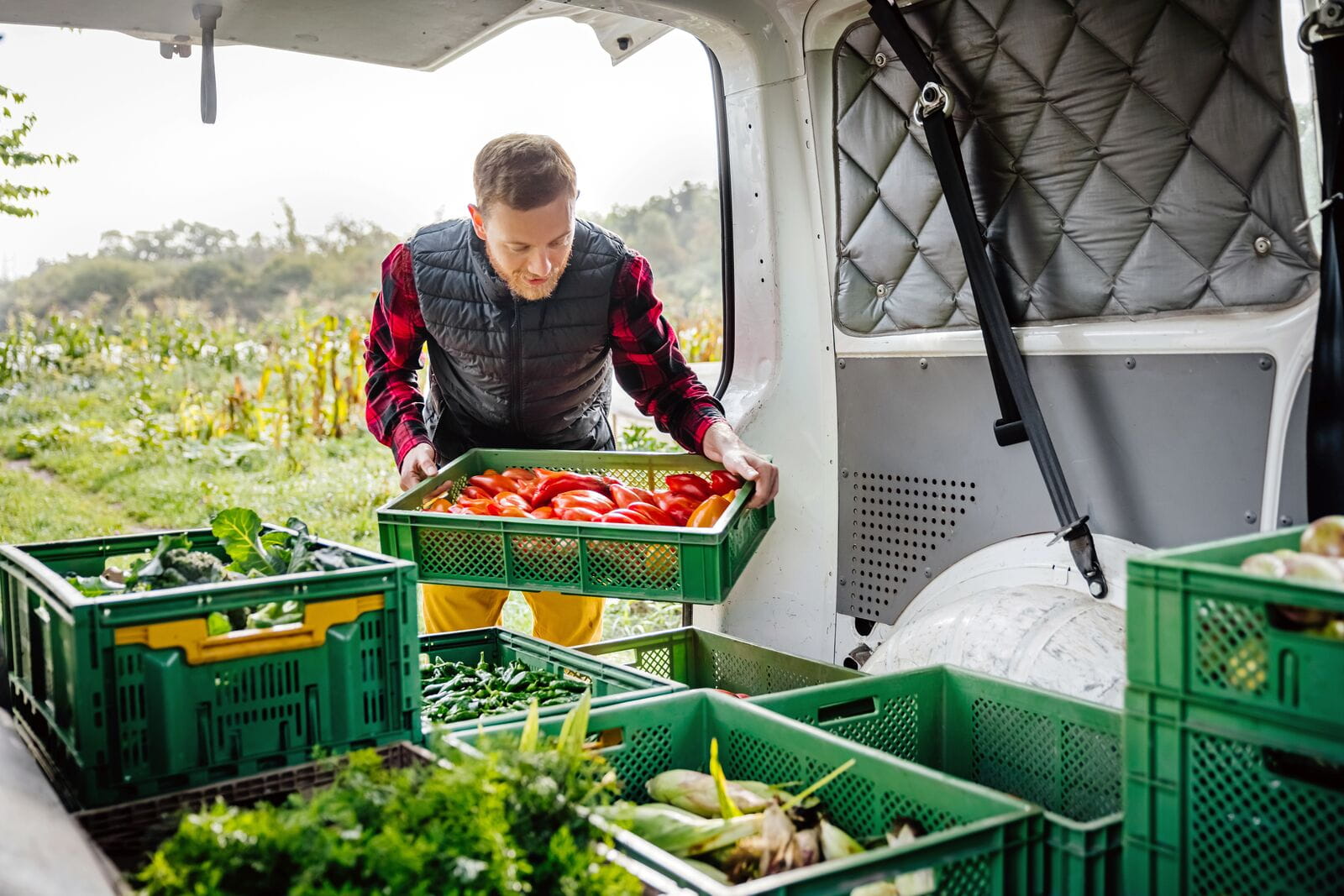 Large_Fruit_Veg_Business_Van
